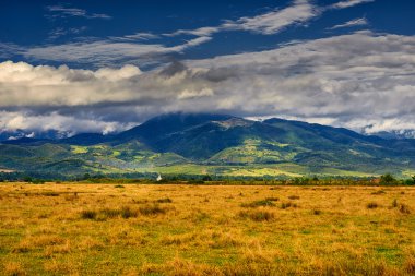Apuseni dağlarından manzara