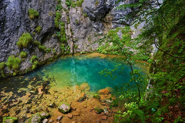 Karstic spring in Romania — Stock Photo, Image