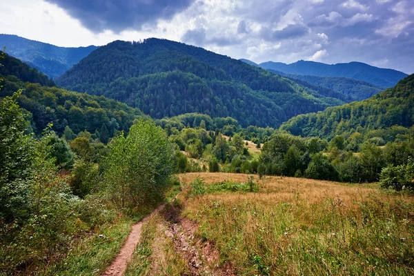 Pěšina v lese — Stock fotografie