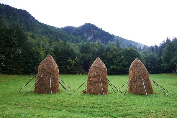 Höstackar på landsbygden — Stockfoto