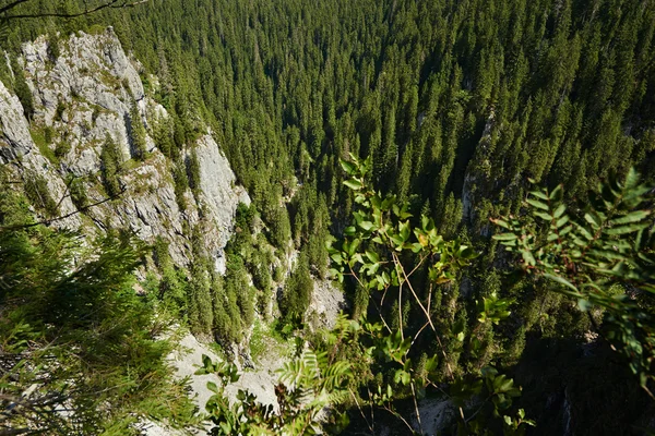 Steile Klippe — Stockfoto