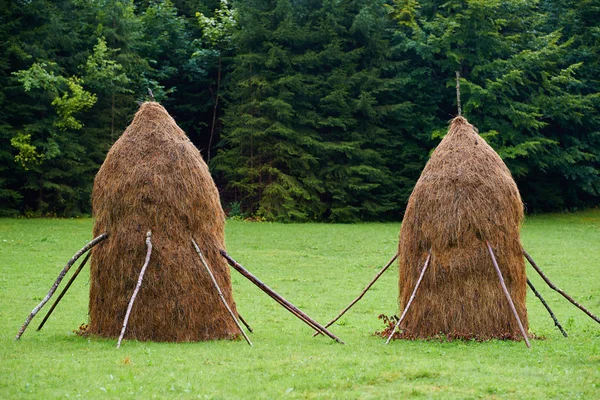 Höstackar på landsbygden — Stockfoto