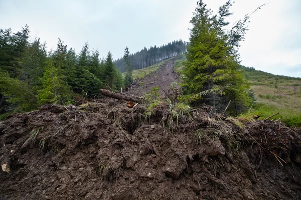 Aardverschuiving als gevolg van ontbossing — Stockfoto