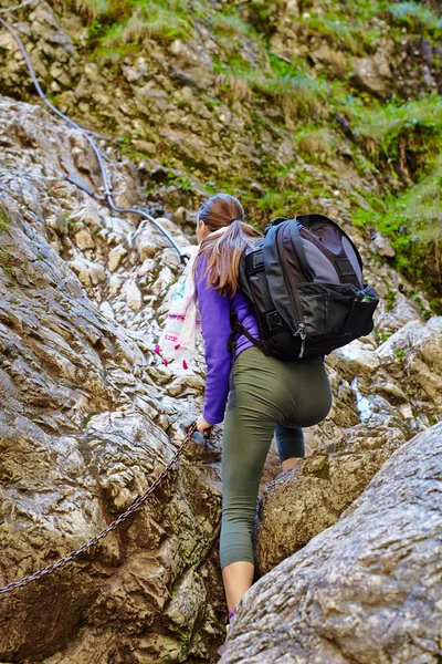 年轻的女士登山者 — 图库照片