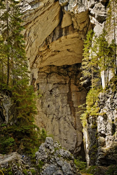 Σπήλαιο Cetatile Ponorului — Φωτογραφία Αρχείου