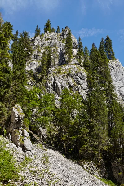 Steep cliff — Stock Photo, Image