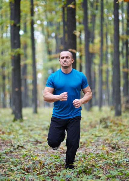 Az ember az erdőben jogging — Stock Fotó