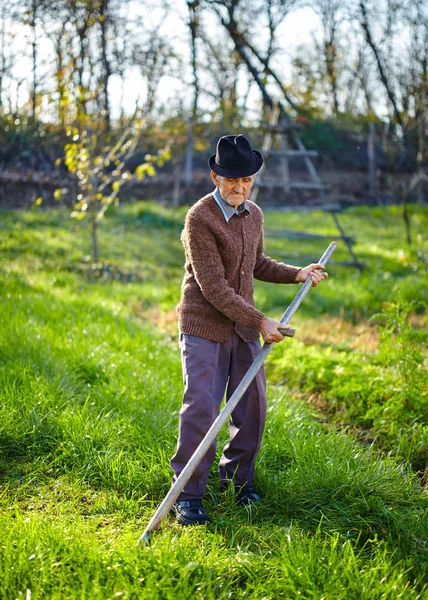 Boer maaien gazon met scythe — Stockfoto