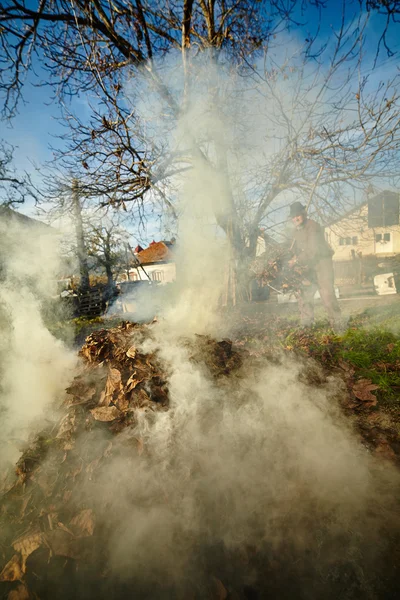 Yaşlı çiftçi ölü yaprakları yanan — Stok fotoğraf