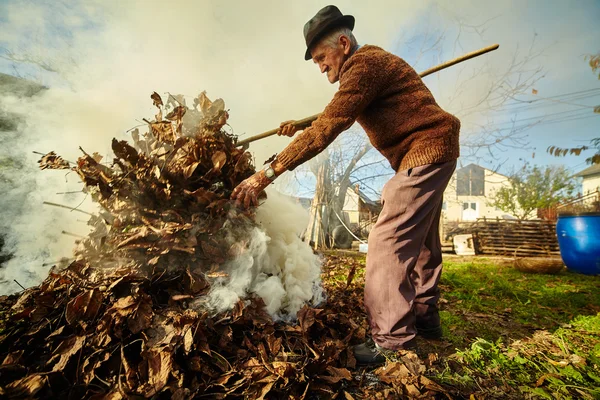 Старый фермер сжигает мертвые листья — стоковое фото