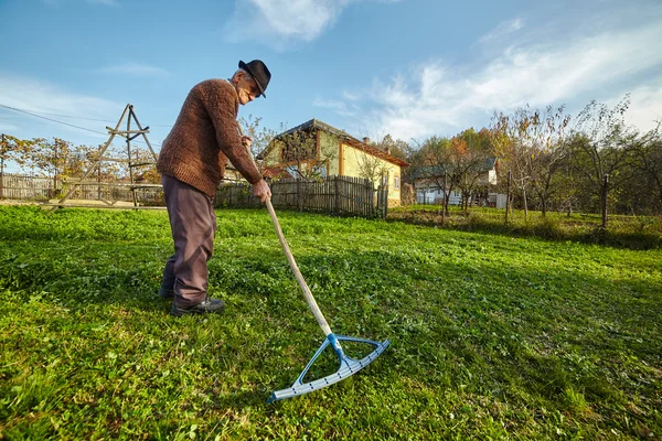 Фермер собирает траву для кормления животных — стоковое фото