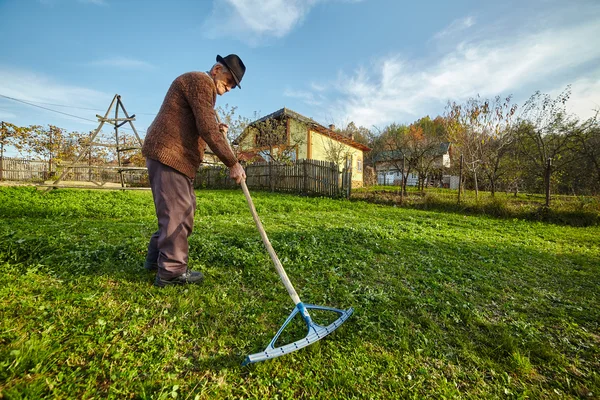 Agricoltore che raccoglie erba per nutrire gli animali — Foto Stock