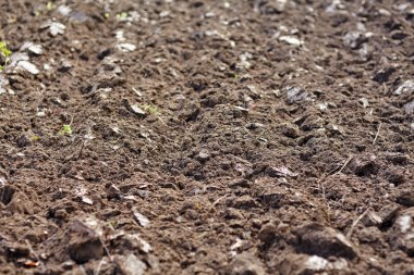 Verimli sürülmüş topraklar