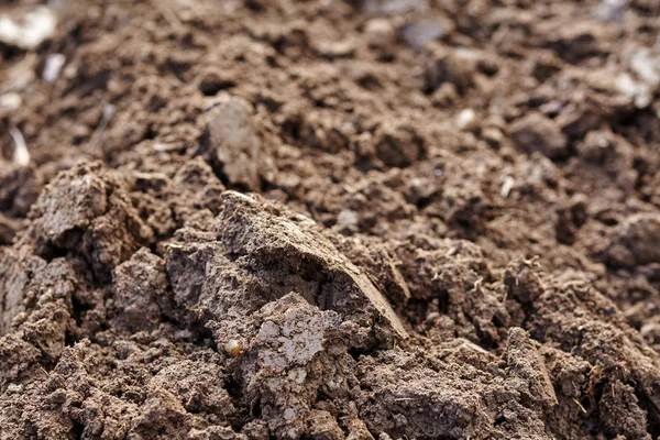 Terreni arati fertili — Foto Stock