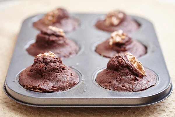Chocolate cupcakes in tray — Stock Photo, Image