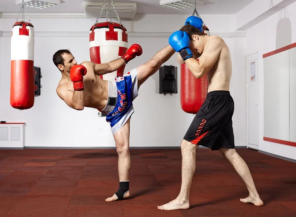 Бойцы Kickbox спарринг в тренажерном зале — стоковое фото