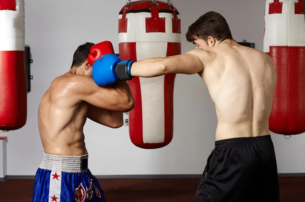 Combatientes de Kickbox luchando en el gimnasio — Foto de Stock