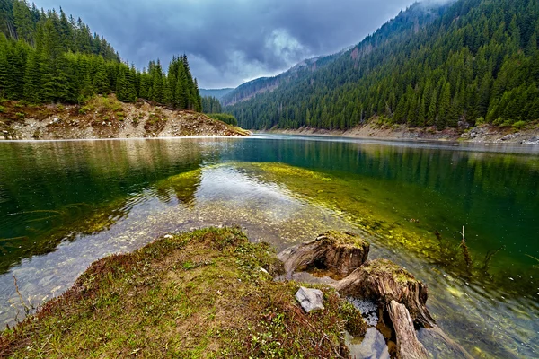 Lago Galbenu en Rumania Imagen de archivo