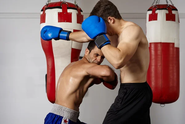 Kickbox fighters sparring in the gym Stock Picture