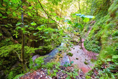Bir geçit akan nehir