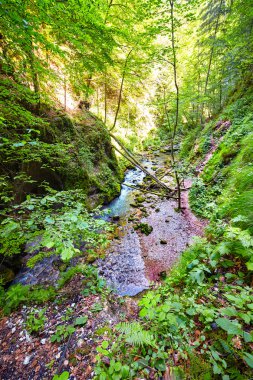 Bir geçit akan nehir