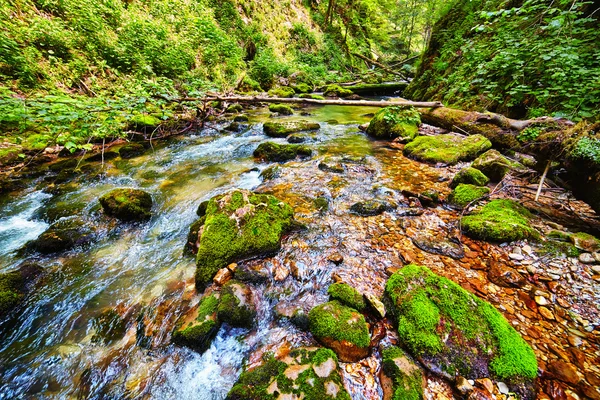 Río que fluye a través de una garganta — Foto de Stock
