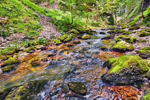 Řeka protékající gorge — Stock fotografie