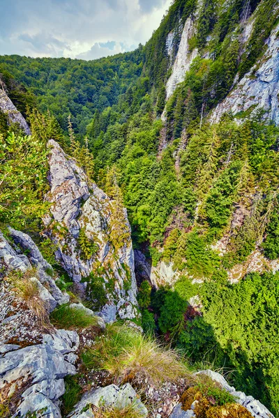 峡谷の空中風景 — ストック写真