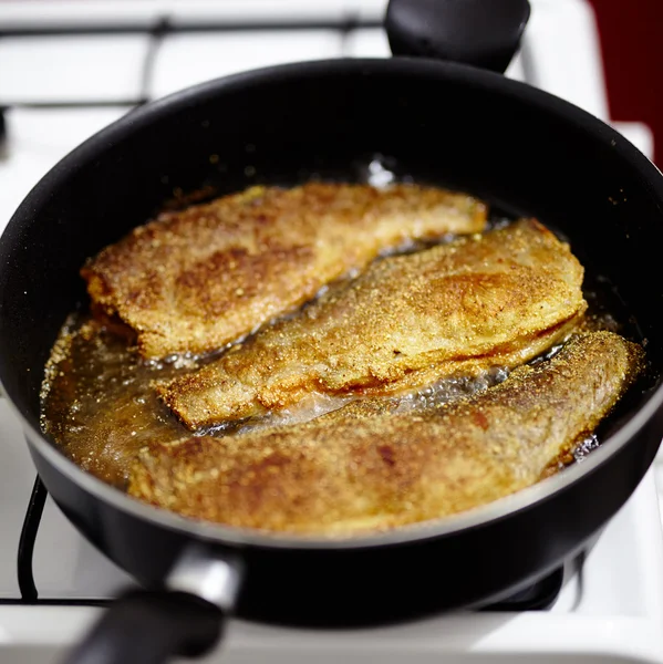 Fried trout preparation — Stock Photo, Image