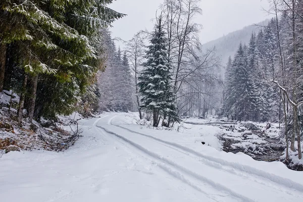 Snöig väg i skogen — Stockfoto