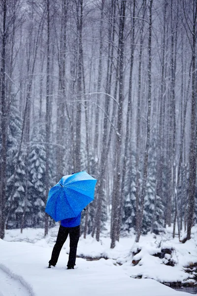 Hombre en el bosque en invierno — Foto de Stock