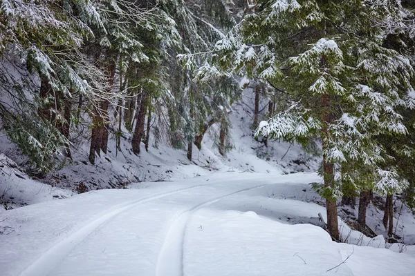 Snowy road in the forest — Stock Photo, Image