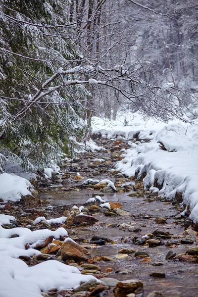 Fluss fließt im Winter durch den Wald — Stockfoto