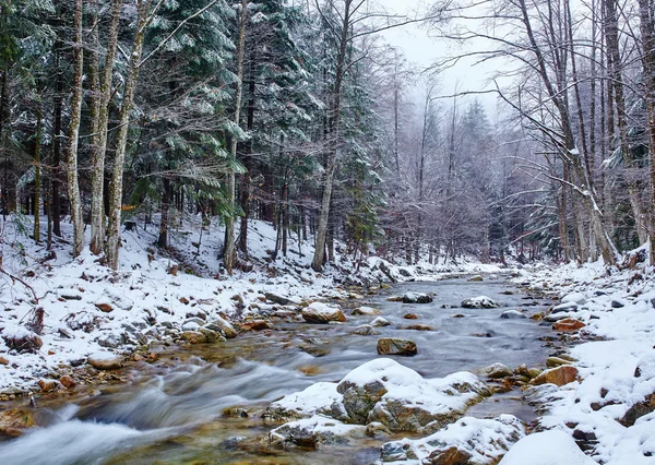 Fiume che scorre attraverso la foresta in inverno — Foto Stock