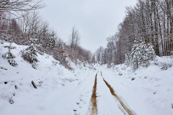 Muddy country road covered with snow — Stock Photo, Image