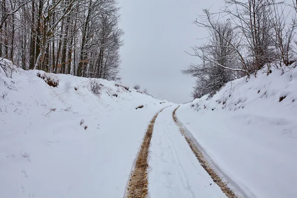 Muddy country road covered with snow — Stock Photo, Image