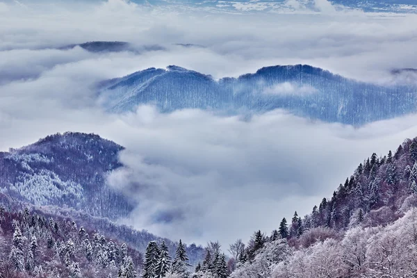 Montagna paesaggio invernale — Foto Stock