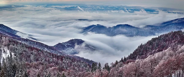 Montaña invierno paisaje — Foto de Stock