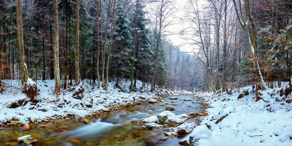 Oltetului fiume e passare in Romania — Foto Stock