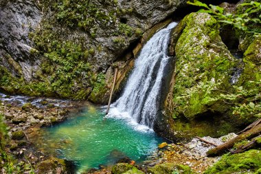 Dağlarda bir şelale peyzaj