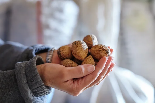 Woman holding walnuts — Stock Photo, Image