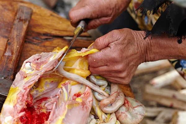 Mulher rural sênior preparando frango ao ar livre — Fotografia de Stock