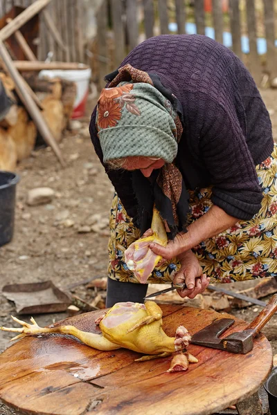 Landfrauen bereiten Hühner im Freien zu Stockbild