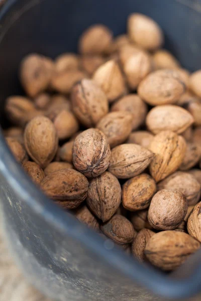 Bucket with walnuts outdoor — Stock Photo, Image