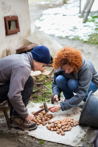 Family of farmers crushing walnuts — Stock Photo, Image