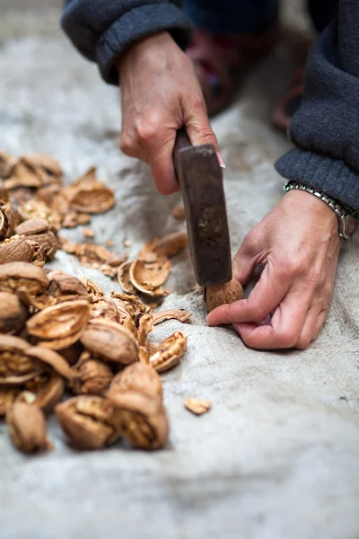 Woman crushing walnuts outdoor — Stock Photo, Image