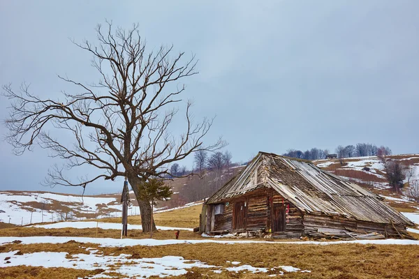 Landschap met verlaten houten schuur — Stockfoto