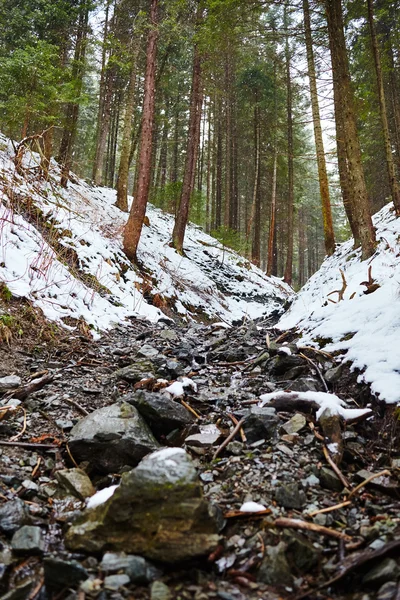 Paesaggio invernale con fiume nella foresta — Foto Stock