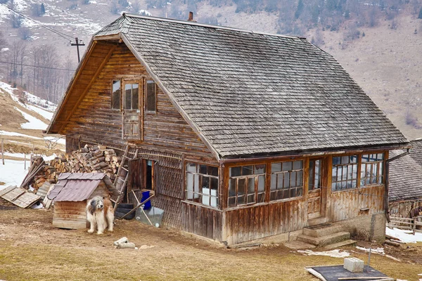 Ξύλινο σπίτι που φρουρείται από δασύτριχο σκυλί Εικόνα Αρχείου