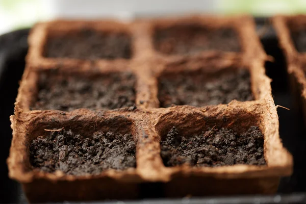 Peat nurseries for seedlings filled with soil — Stock Photo, Image